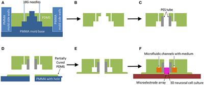 Advancing a MEMS-Based 3D Cell Culture System for in vitro Neuro-Electrophysiological Recordings